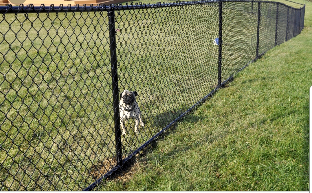 Fence Contractors in Garland TX